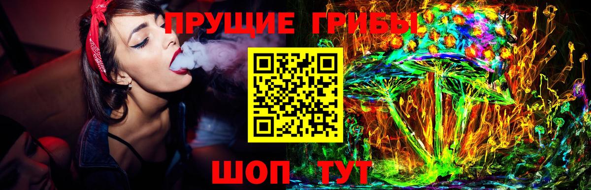 Псилоцибиновые грибы ЛСД Россия